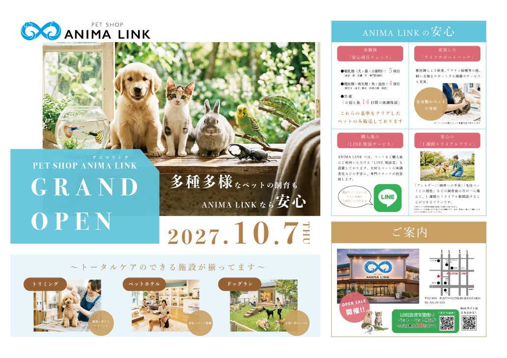 ANIMA LINK Flyer