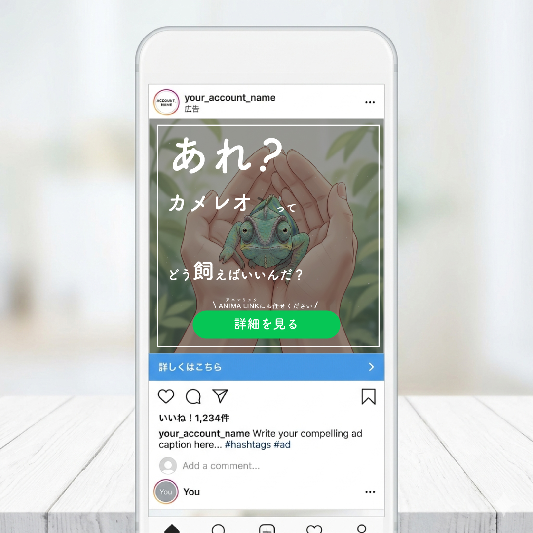 「あれ？カメレオンってどう飼えばいいんだ？」